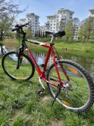 Rower Giant fs GSR aluxx "L"
