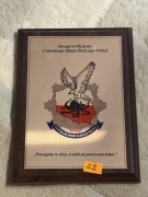 Ryngraf - Centralne Biuro Śledcze Policji
