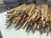 Trzcina Rurki trzcinowe , trzcina dla murarki ogrodowej