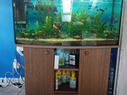 Sprzedam akwarium wraz z osprzętem 