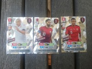 PANINI - FIFA WORLD CUP - zestaw 3 kart LIMITED EDITION