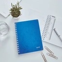 Kołonotatnik LEITZ A5 80gsm 80K krata niebieski_#4641-00-36