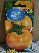 Pomidor żółty "Jantar"