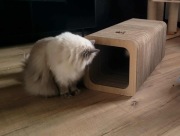 ECO drapak dla kota TUNEL od Kocie Sprawki