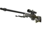 AWP (StatTrak) | Robaczy bóg FN