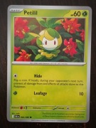 Petilil 006/086 Karta POKEMON TCG Black bolt