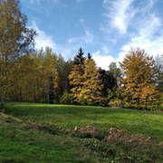 Działka budowlana pod Polanicą-Zdrój