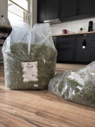 Siano z lubelskich łąk SOLO