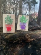 Kaktus String Art