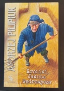 kroniki Jakuba Wędrowycza Andrzej Pilipiuk