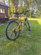 Rower młodzieżowy - Męski