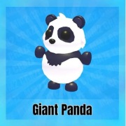 ADOPT ME - GIANT PANDA FR