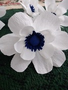 Kwiaty do dużej Palmy