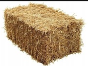 Słoma kostka duża dla psa podłoże ściółka do budy