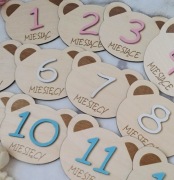 Drewniane tabliczki do zdjęć z miesiącami-na sesje, prezent-kolorowe misie 