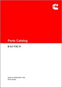 Katalog silnik Cummins B 5.9 173C 31