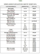 Drzewa alejowe grunt - klon, jarząb, lipa, dąb, grab