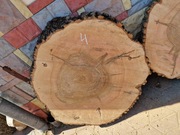 4 JESION 105/95/10 cm Blat Plaster Drewna Stolik Żywica Epoxy DIY Live Edge