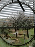 Szklany witraż  śr. 17,5cm