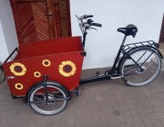 Rower cargo Babboe