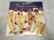 The Pharcyde Labcabincalifornia