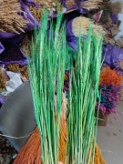 Jęczmień zielony zboże suszone naturalne trawy zieleń ozdoby 