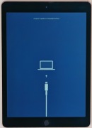 Tablet Apple iPad Air A1566 nie włącza się do pracy.