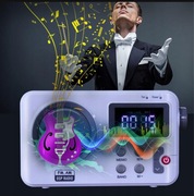 RADIO NA BATERIE FM AM TENDAK PRZENOŚNY RADIOODBIORNIK USB DUŻY WYŚWIETLACZ