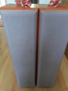 KOLUMY SONY SS-MF450H