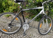 rower górski giant sedona dx