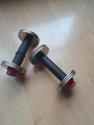 Hantelki a 1kg w stanie dobrym