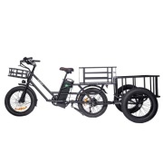 Rower elektryczny cargo z przyczepką 48V 20.8Ah
