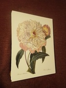 Kwiaty  reprint XIX w. grafik do aranżacji wnętrza