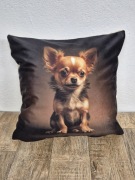 Poszewka, poduszka chihuahua  pies 40x40 prezenturodziny