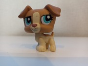 Littlest pet shop pies Jack Russell#1302 +dodatek 