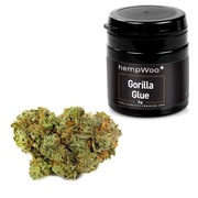 Susz konopny HempWoo Premium CBD 1g/2g, różne..