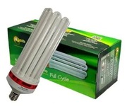 Lampa CFL Phytolite 124W DUAL