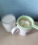 Grzybek tybetański na probiotyczny kefir domowy - białko, B12, detoks 