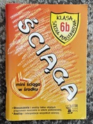 Ściąga 6b szkoła podst. streszczenia lektur Greg