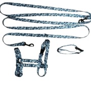 Zestaw/Komplet dla psa. Smycz, szelki i obroża. Akcesoria dla psa 