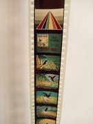 Chciwy kruk Bajka na Rzutnik projektor Bajek Ania retro kino dla dzieci prl