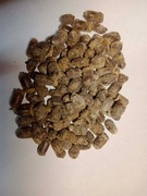 Pszczoła murarka 200 sztuk plus 10%