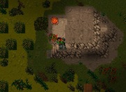 Postać Tibia Unica 107 RP 90 Dist