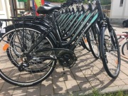 Zasada Rower Maxim MT 2.2 rama 17 Czarny Mięto