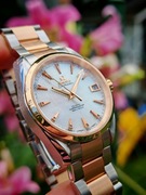 Omega Seamaster Aqua Terra 150M Co-Axial 231.20.39.21.55.001