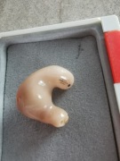 Aparat słuchowy croma 