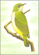 Wyspy Św Tomasza i Książęce - Ptaki, (zestaw 592)