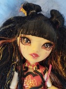 Piękna lalka Lily czeng kolekcjonerska rainbow high 