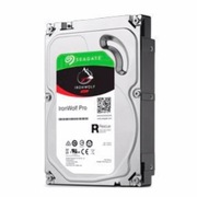 10TB Seagate IronWolf Pro NAS