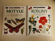 Książki edukacyjne – Rośliny + Motyle – zestaw 2 szt Arkady